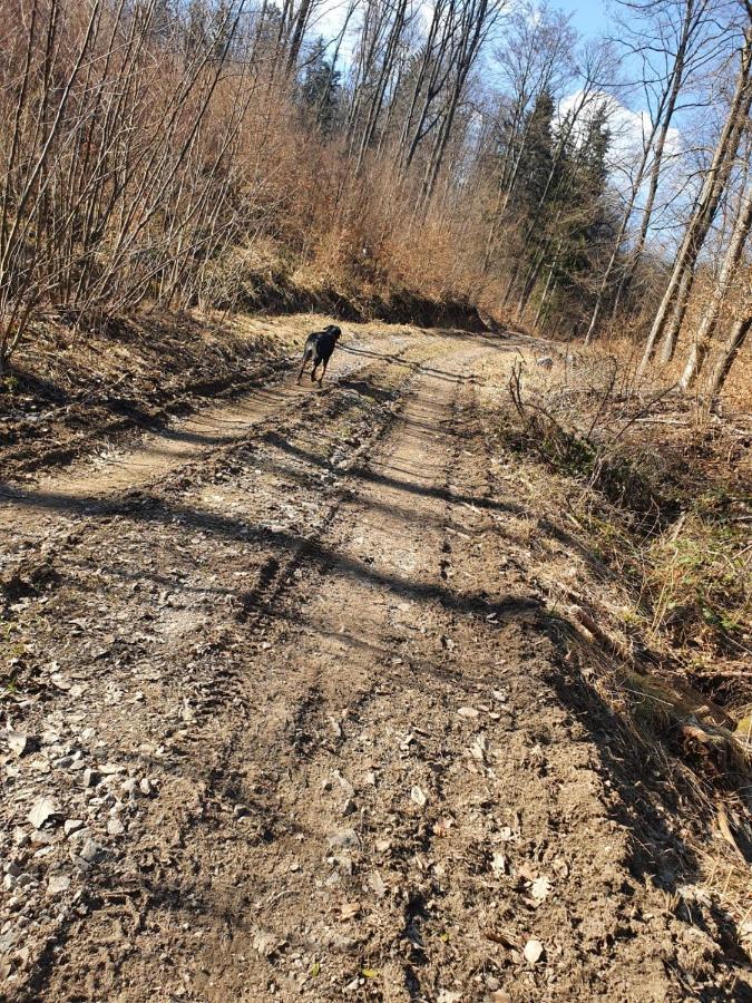 Horska Chata V Srdci Kremnickych Hor Banská Bystrica Esterno foto